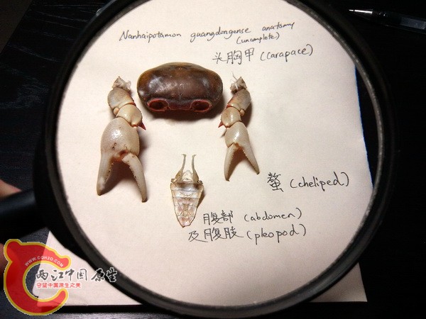 2011-12-31 00.43.08.jpg