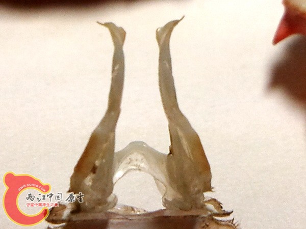 2011-12-31 00.48.07.jpg