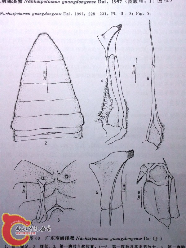 2011-12-31 00.50.31.jpg