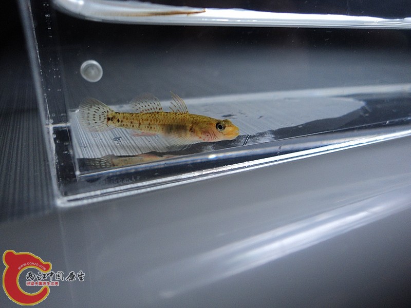 DSC02628.JPG