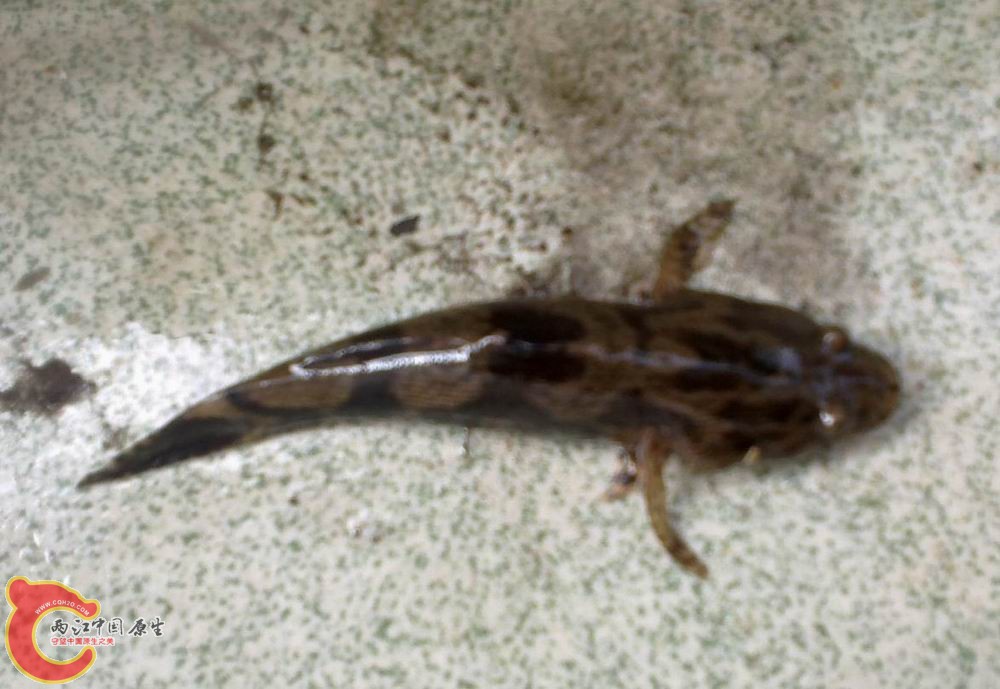 20111023082.jpg