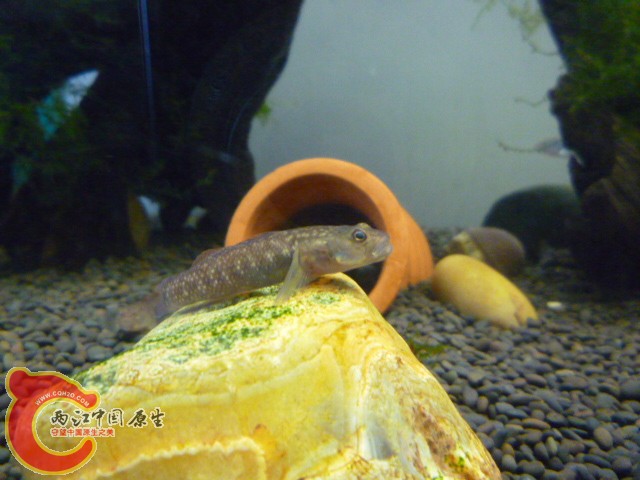 P1040002.JPG