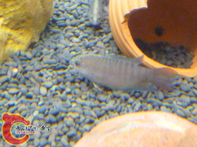 P1040044.JPG