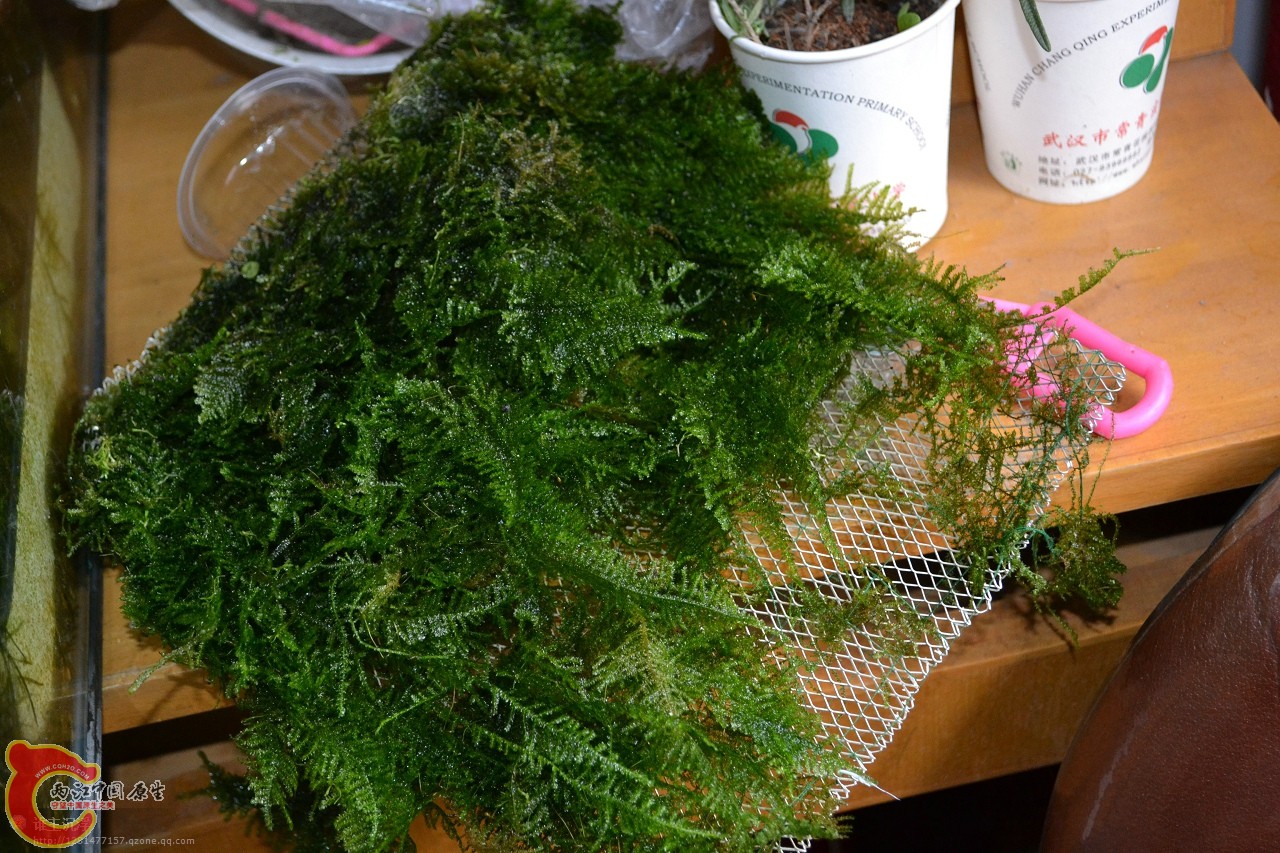 20120108-2995.jpg