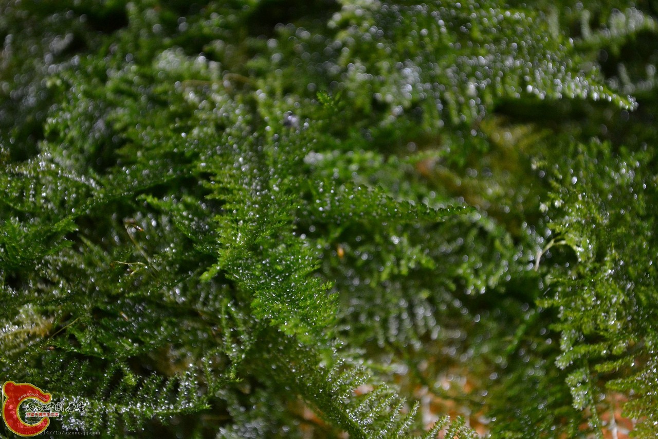 20120108-2997.jpg