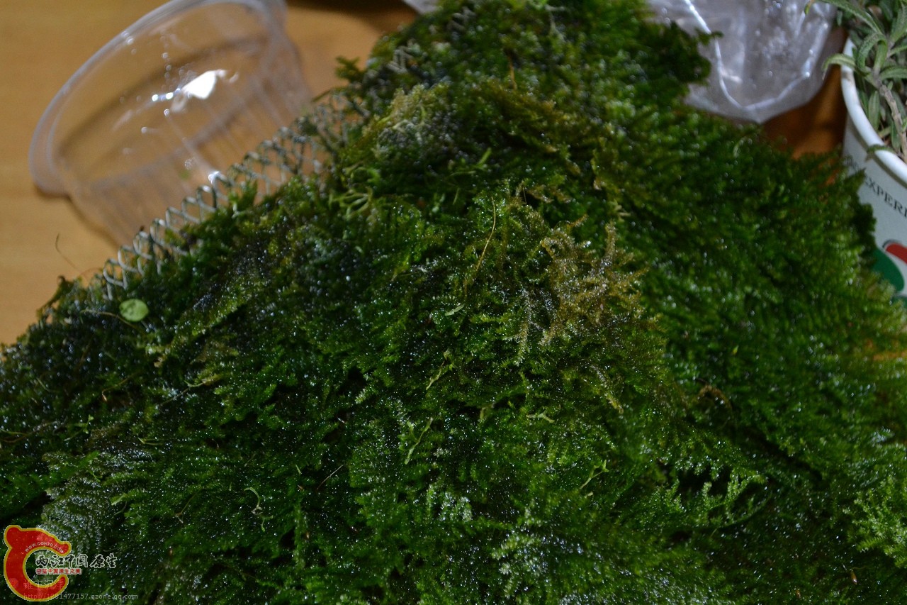 20120108-3000.jpg
