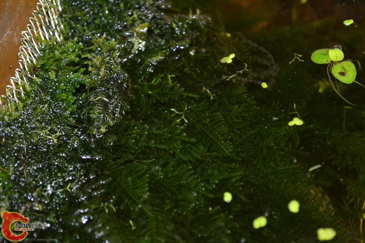 20120108-3001.jpg
