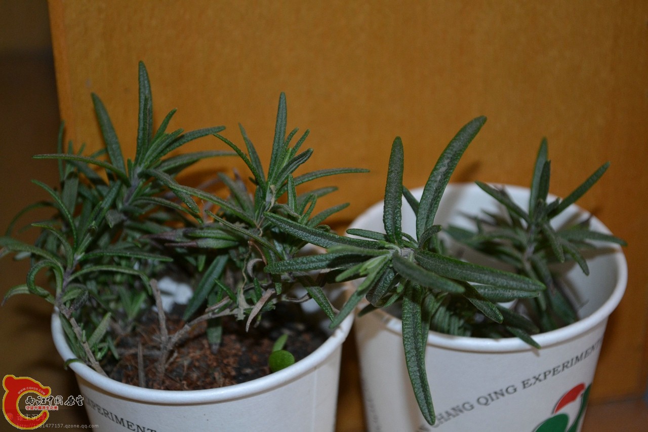 20120108-3005.jpg