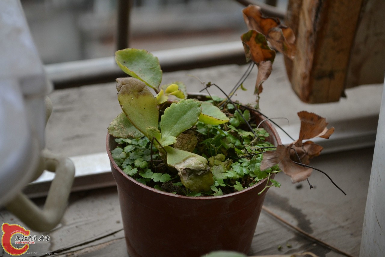 20120108-3006.jpg