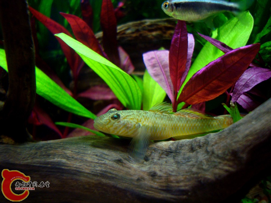 nEO_IMG_DSC01320.jpg