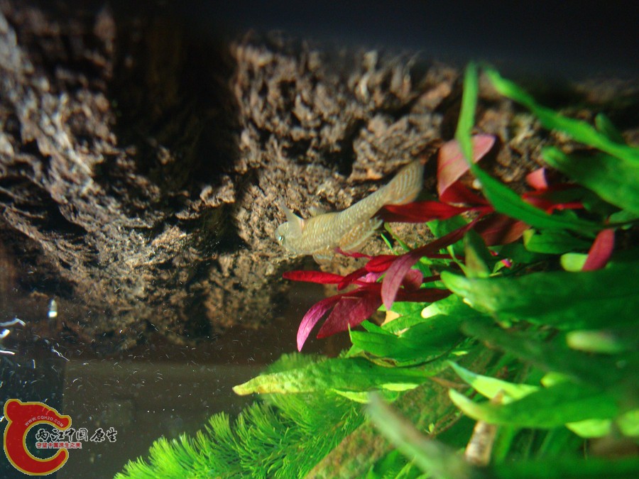 nEO_IMG_DSC01323.jpg