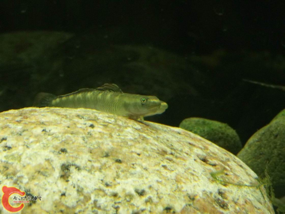 DSCF3838.jpg