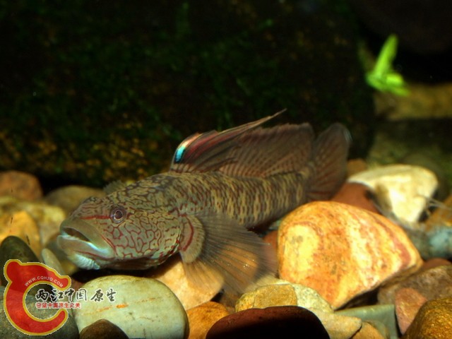 DSCF7140.jpg