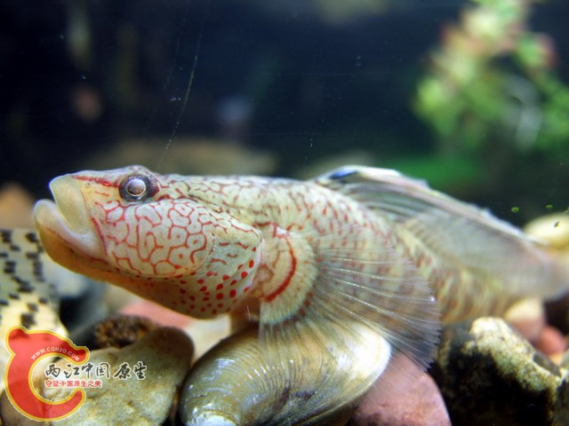 DSCF7190.jpg