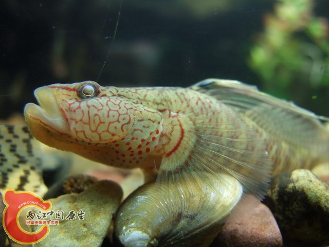 DSCF7191.JPG
