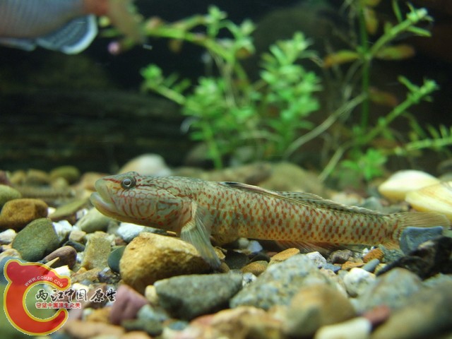 DSCF7860.JPG