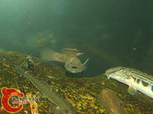 DSCF7879.JPG