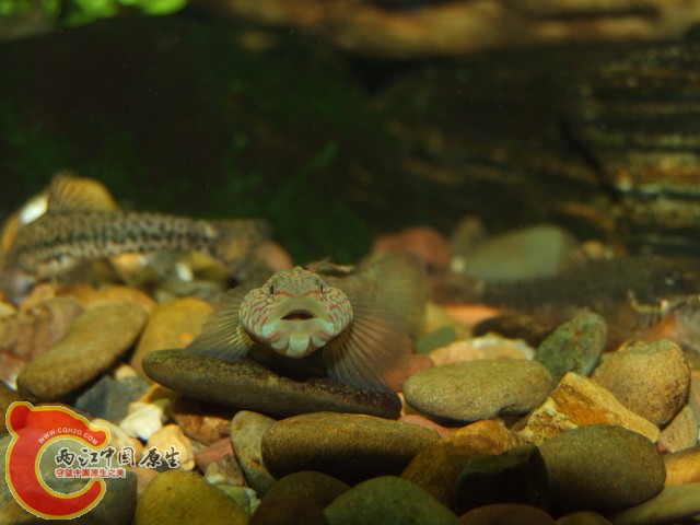 DSCF7902.JPG