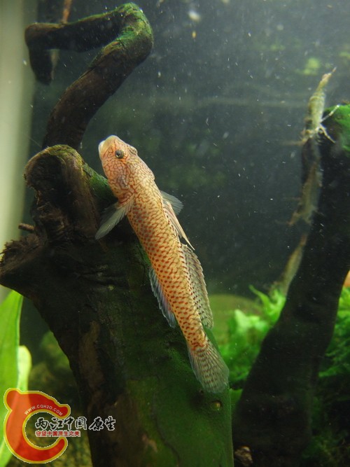DSCF7840.jpg