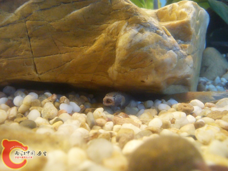 DSC03151_副本.jpg