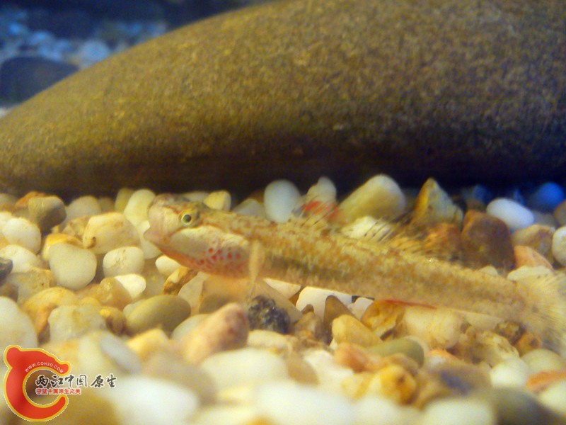 DSC03154_.jpg