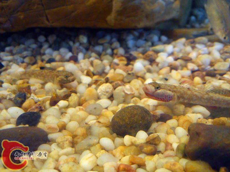 DSC03157_.jpg