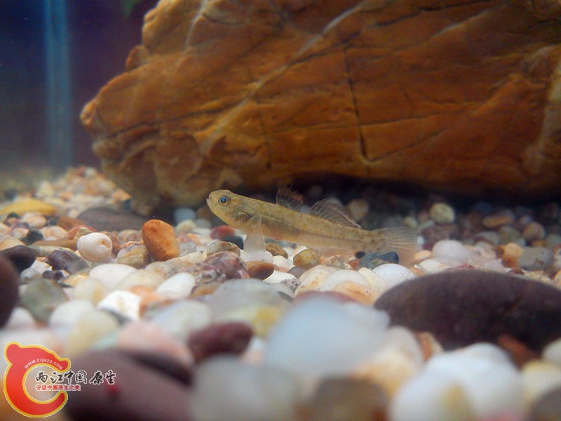 DSC03169_.jpg