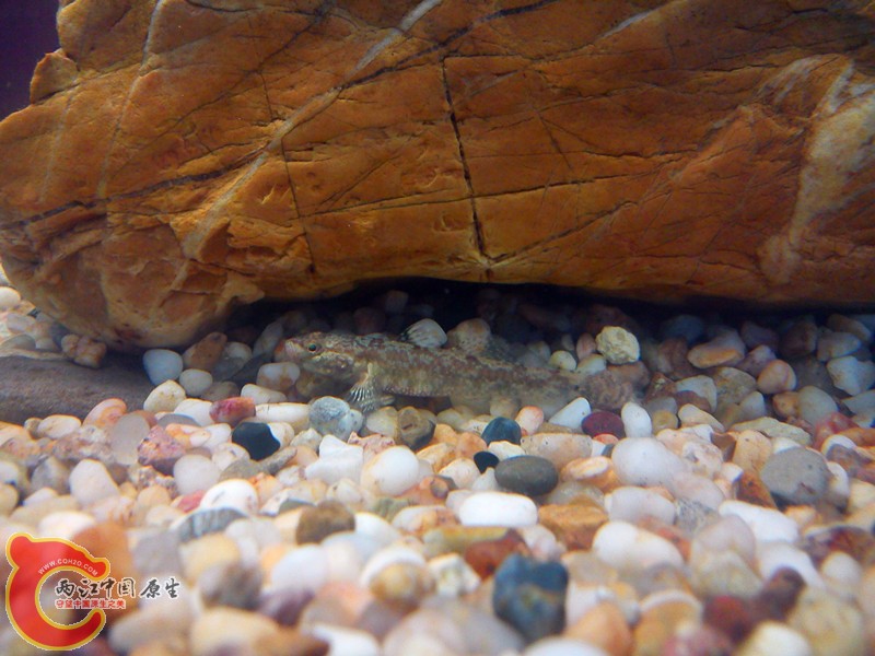 DSC03171_.jpg