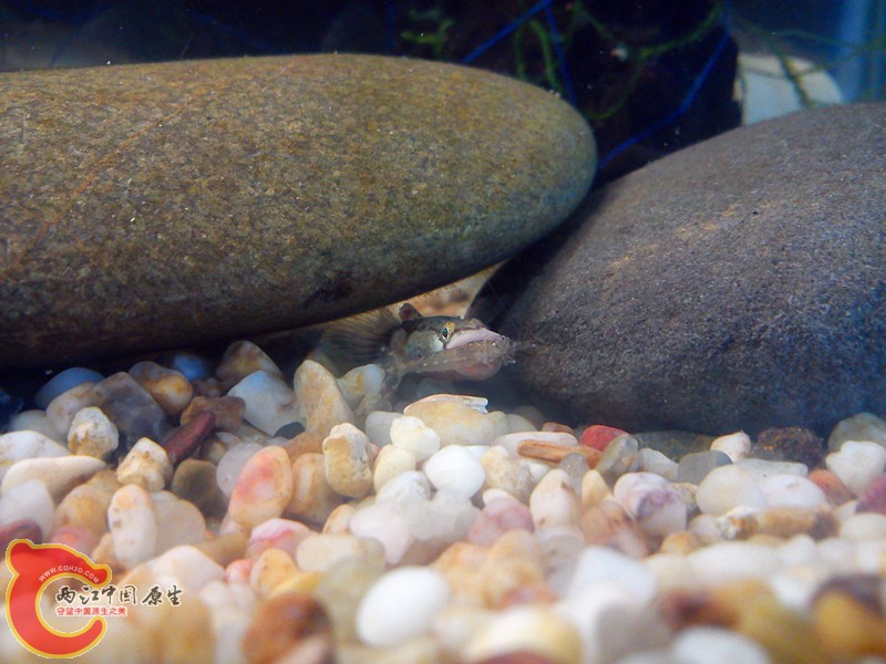 DSC03175_.jpg