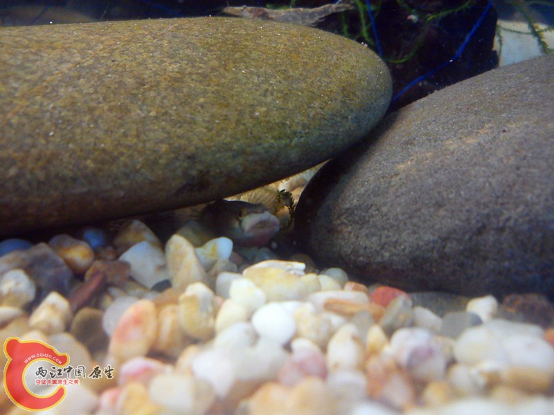 DSC03176_.jpg