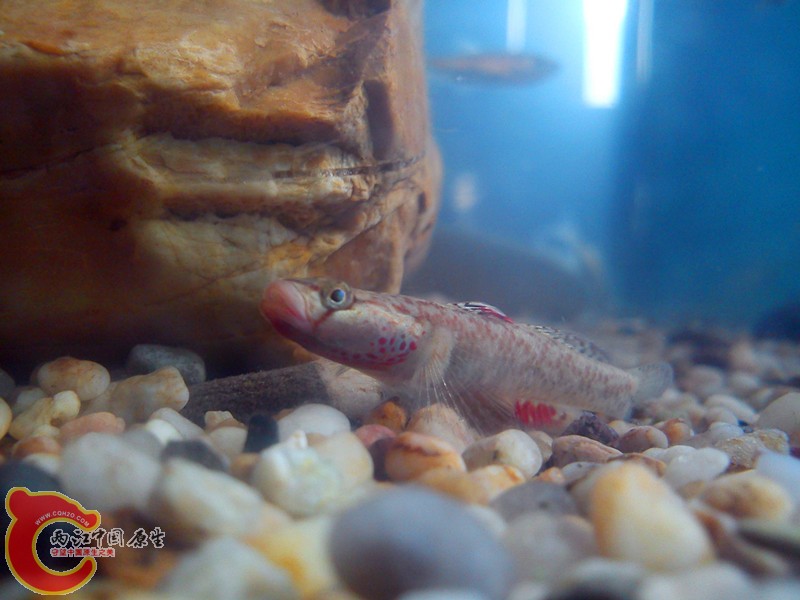 DSC03192_.jpg