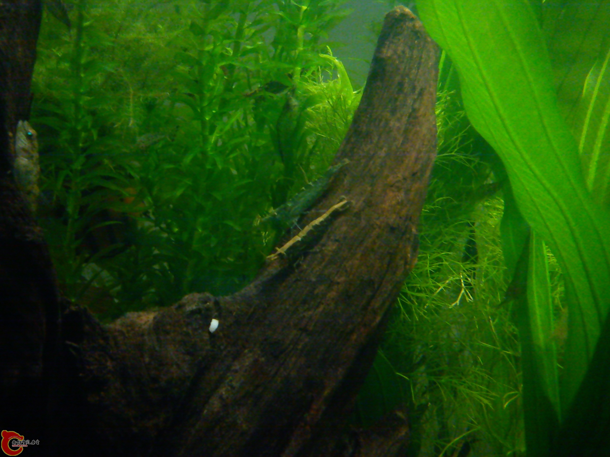Camera_20120115_184659.jpg
