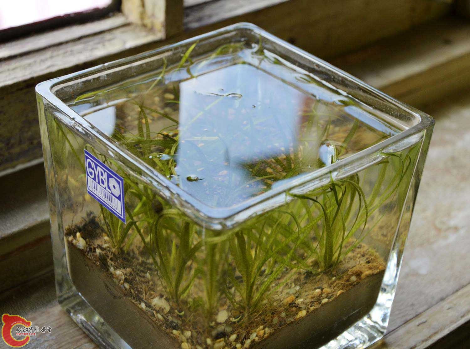 照片 021.jpg