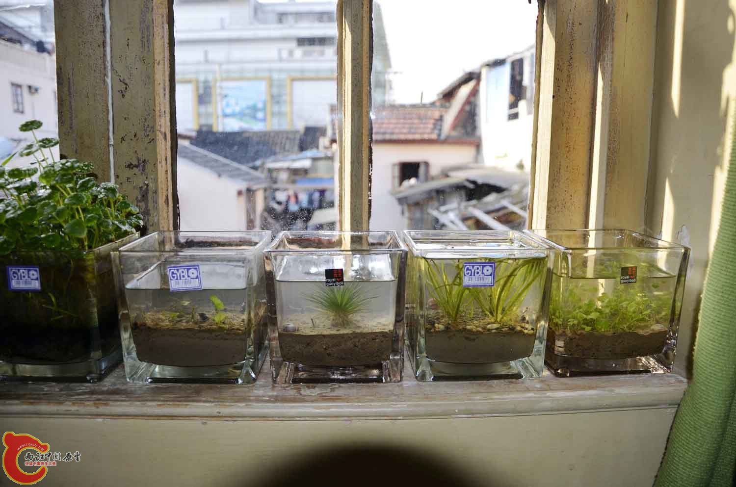 照片 037.jpg