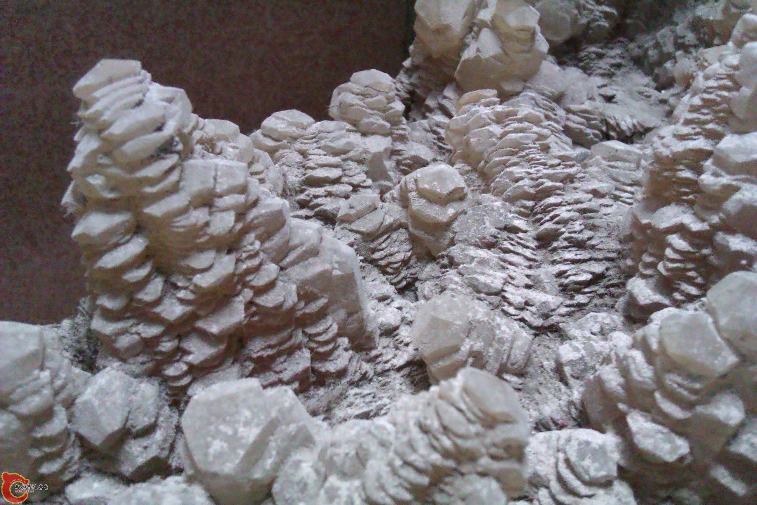 IMAG0078.jpg