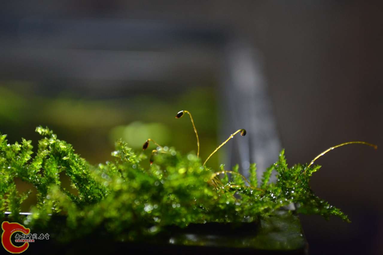 20120118-4708.JPG