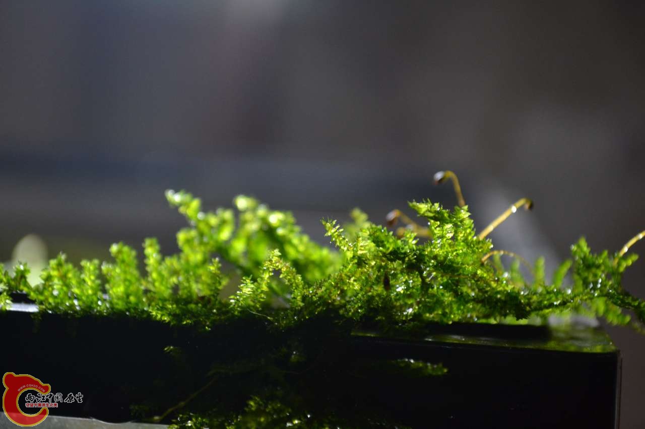 20120118-4709.JPG