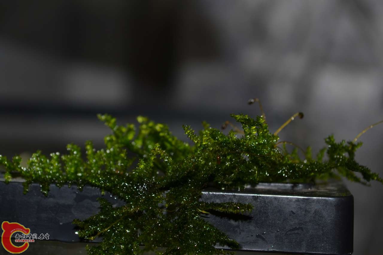 20120118-4710.JPG