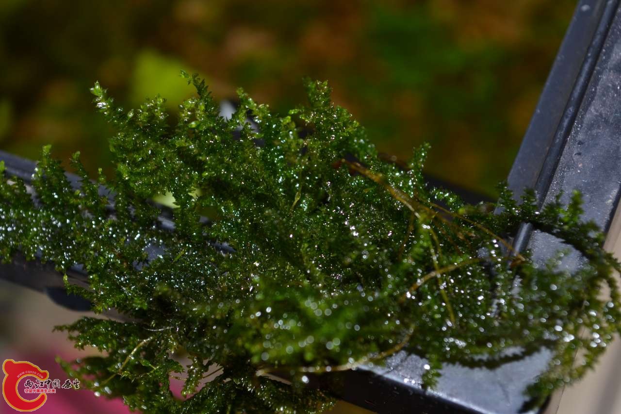 20120118-4711.JPG