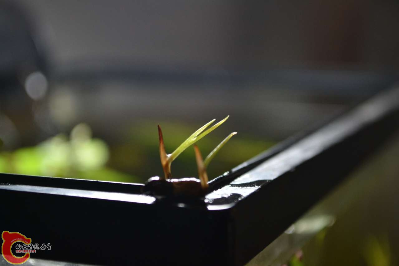 20120118-4712.JPG