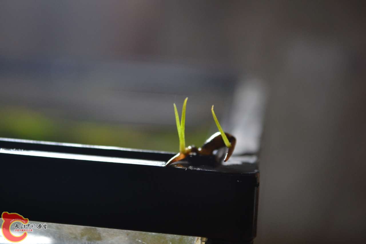 20120118-4713.JPG