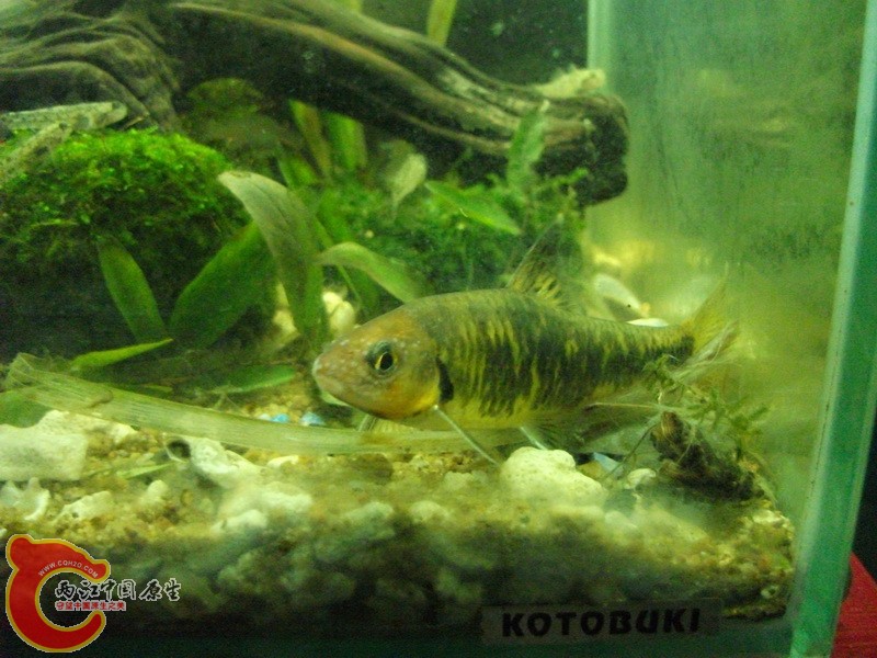 DSCF3745.JPG