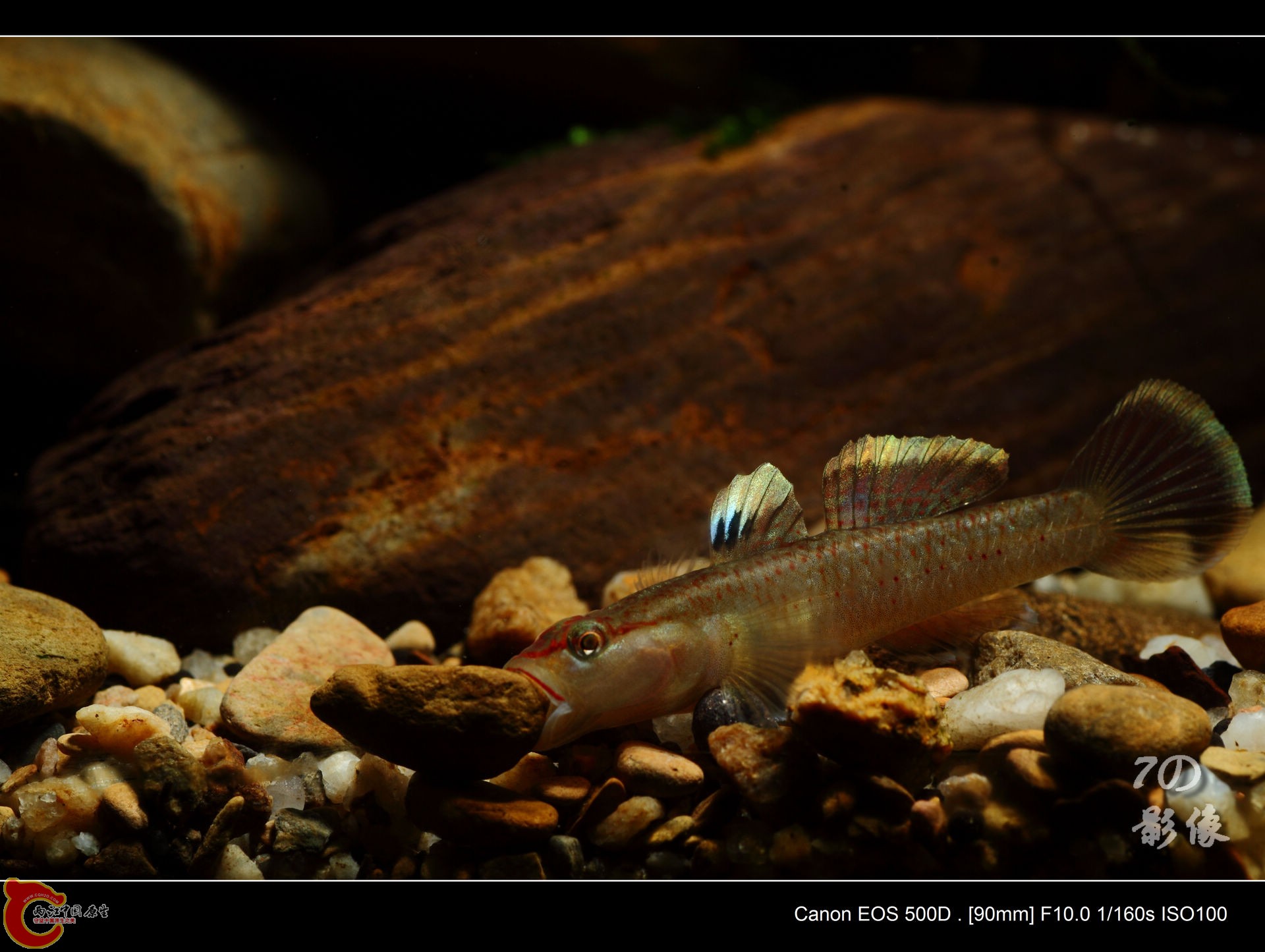 5.JPG