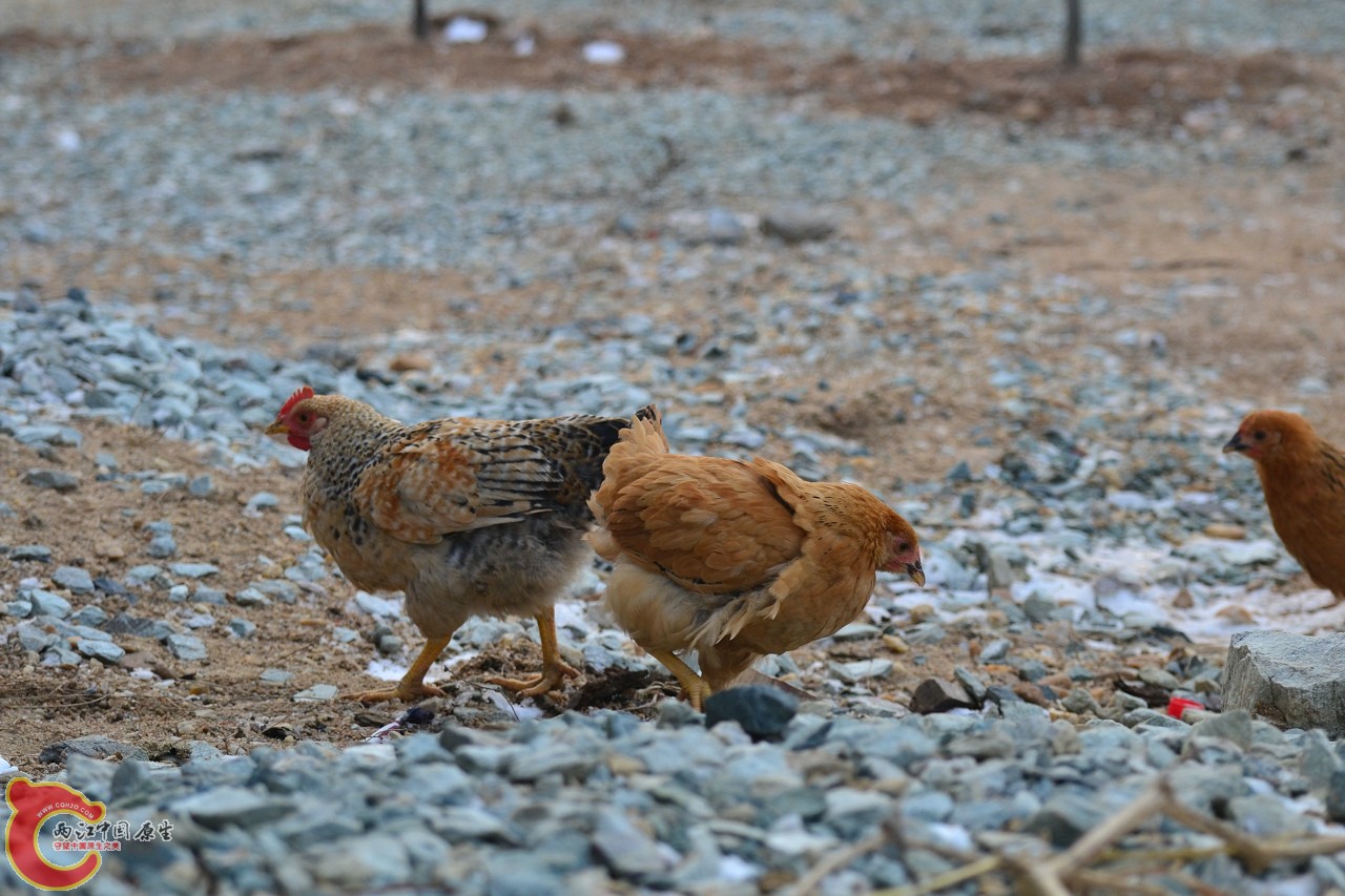 20120122-4821.jpg