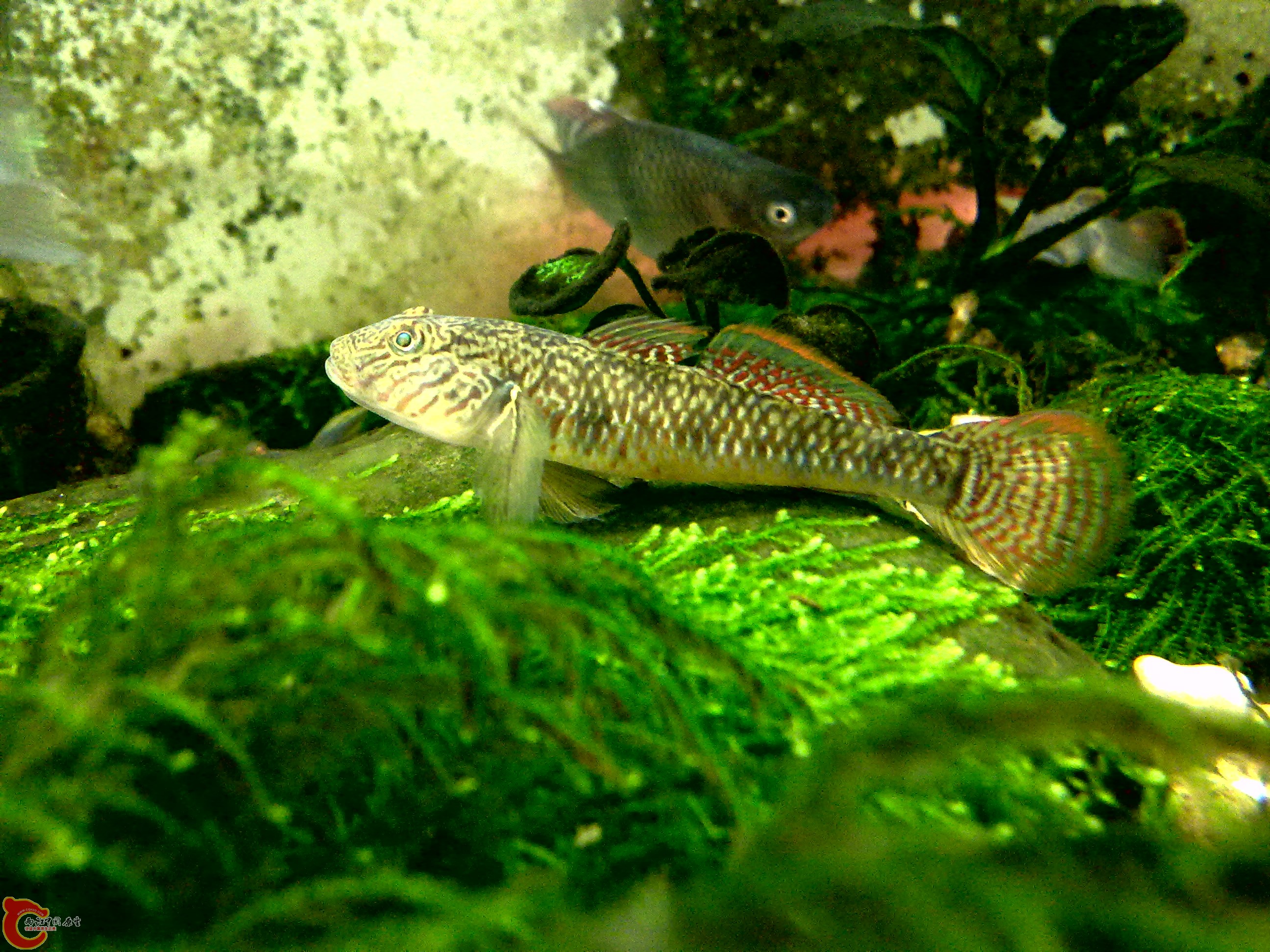 20120123403.jpg