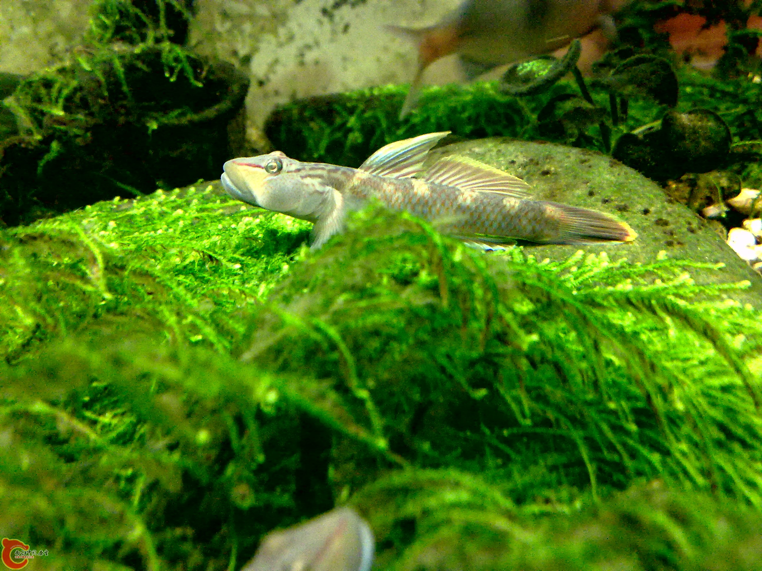 20120124585.jpg