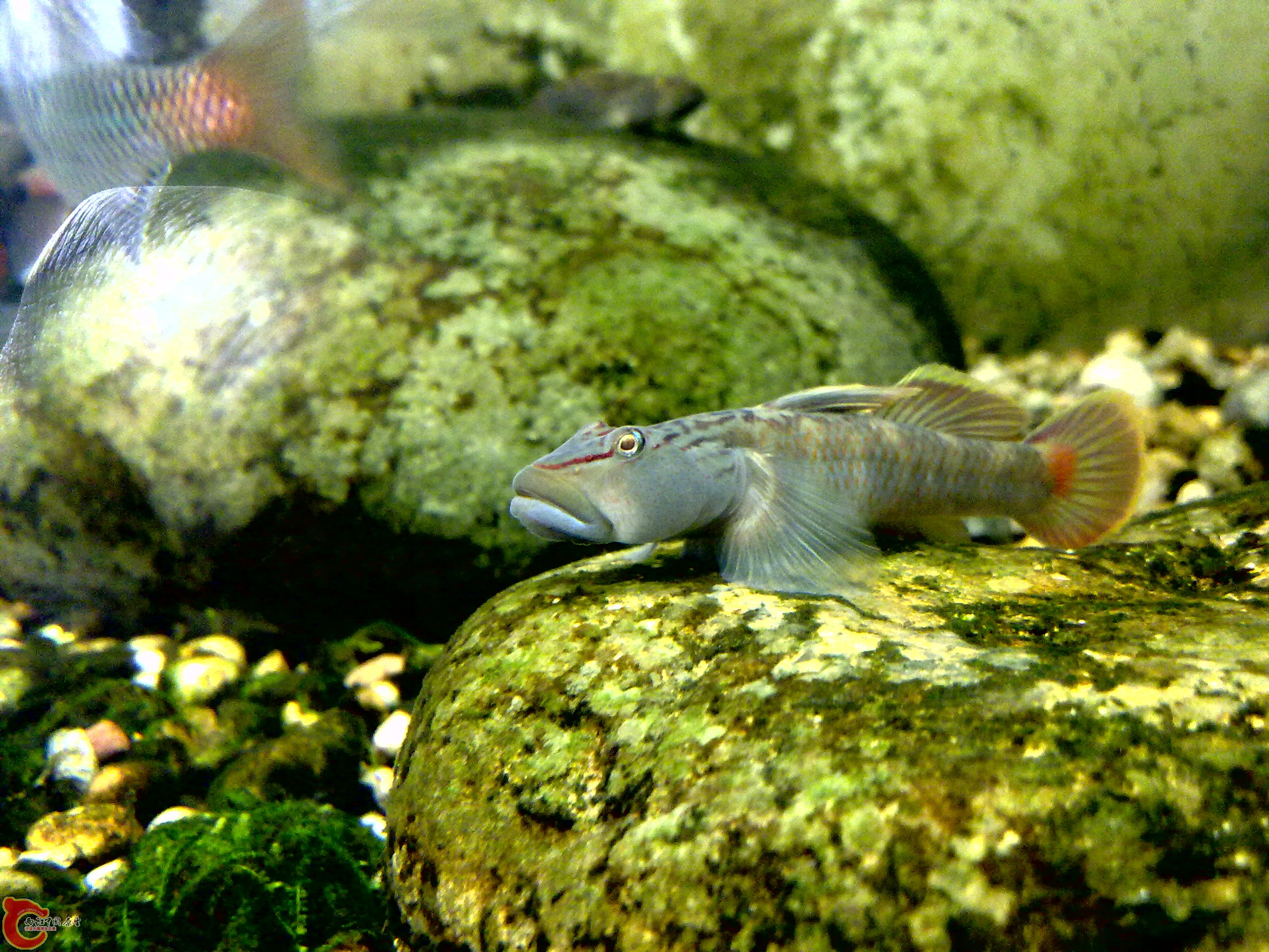 20120123411.jpg