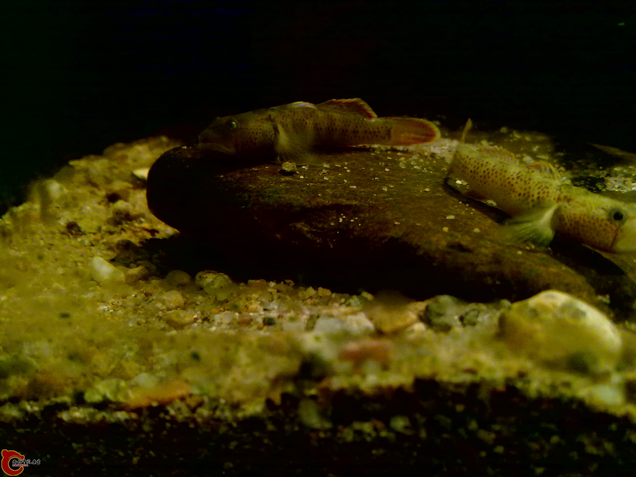 20120126165.jpg
