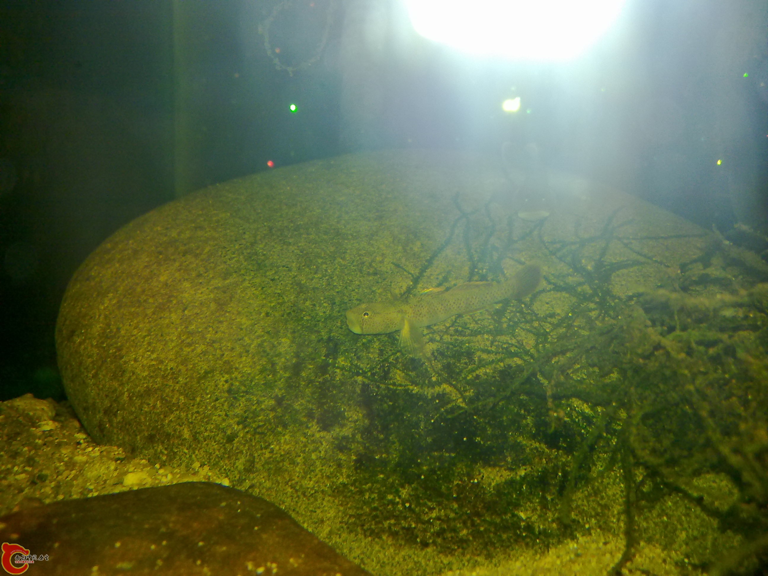 20120125122.jpg