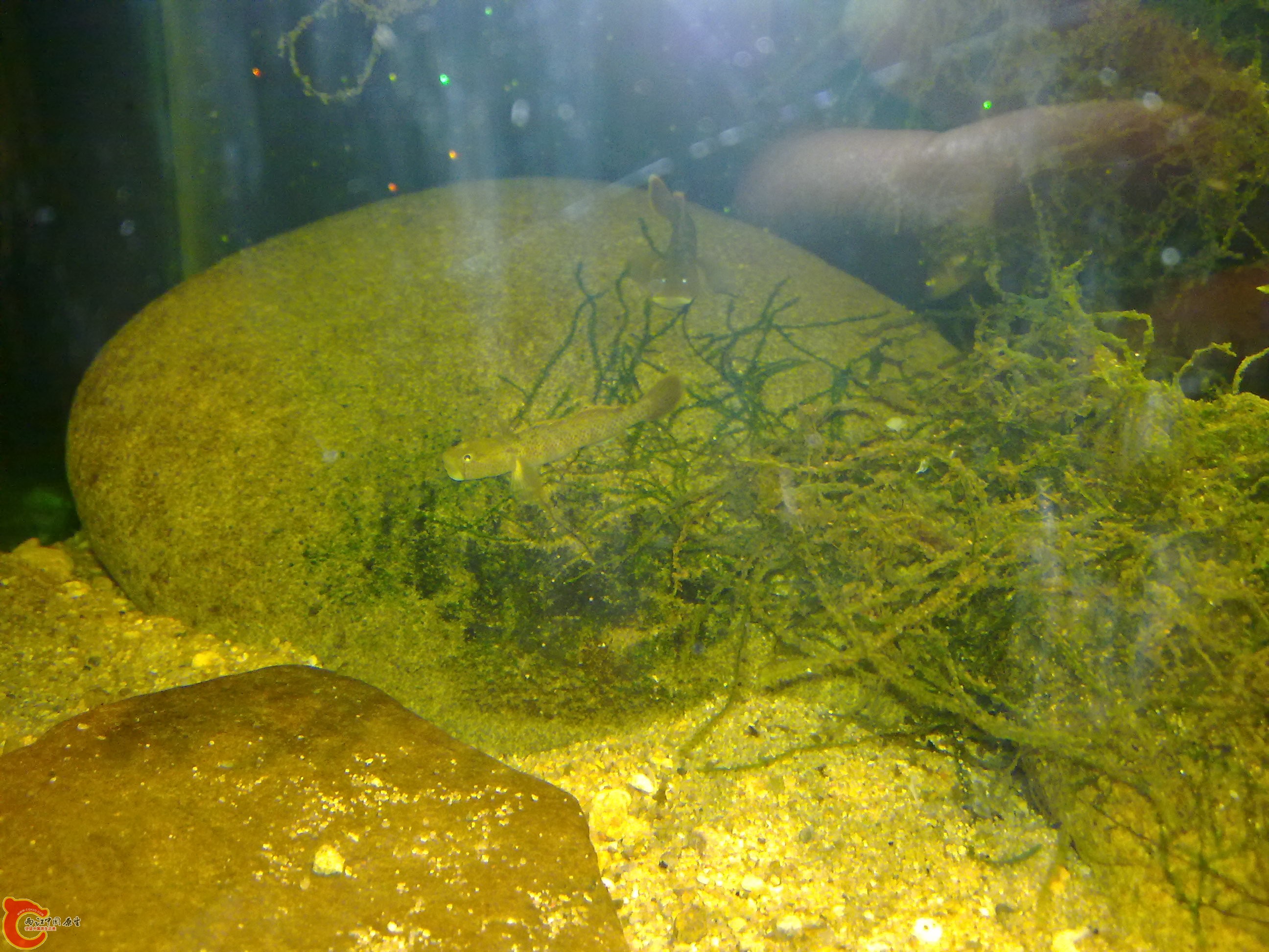 20120125123.jpg